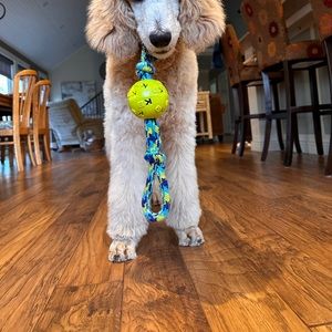 Meet your Posher, Cathy